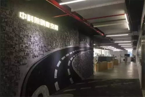 突破社交圈層，創業空間服務助力海歸美女主理的寵物事業新征程